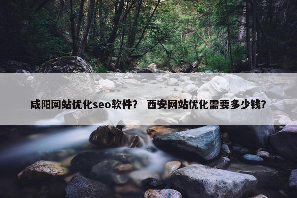 咸阳网站优化seo软件？ 西安网站优化需要多少钱？