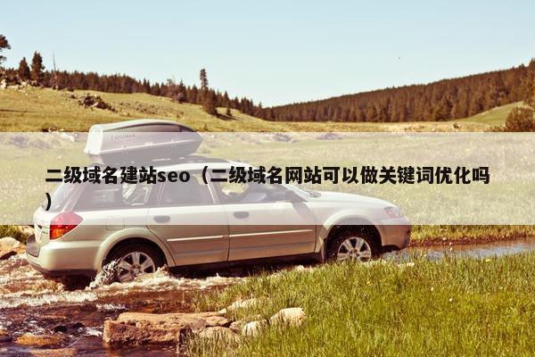 二级域名建站seo（二级域名网站可以做关键词优化吗）