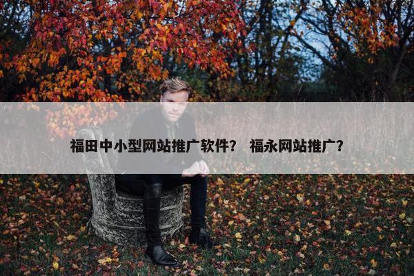 福田中小型网站推广软件？ 福永网站推广？