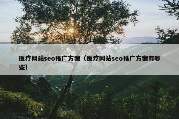 医疗网站seo推广方案（医疗网站seo推广方案有哪些）