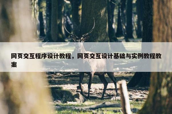 网页交互程序设计教程，网页交互设计基础与实例教程教案