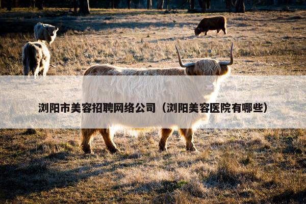 浏阳市美容招聘网络公司（浏阳美容医院有哪些）