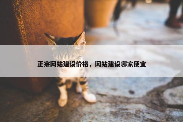 正宗网站建设价格，网站建设哪家便宜