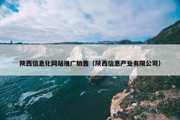 陕西信息化网站推广销售（陕西信息产业有限公司）