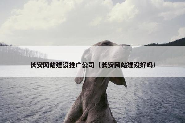 长安网站建设推广公司（长安网站建设好吗）