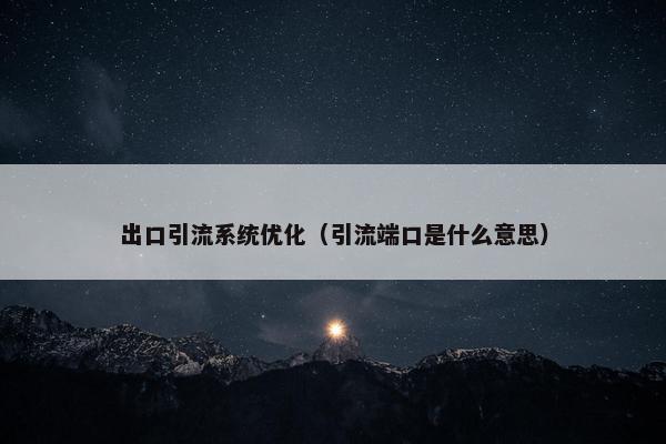 出口引流系统优化（引流端口是什么意思）