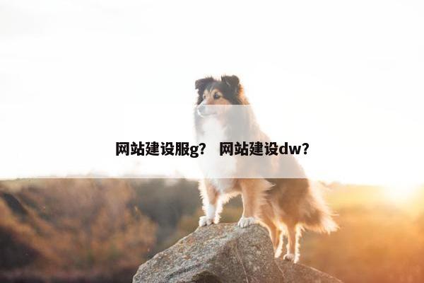网站建设服g？ 网站建设dw？