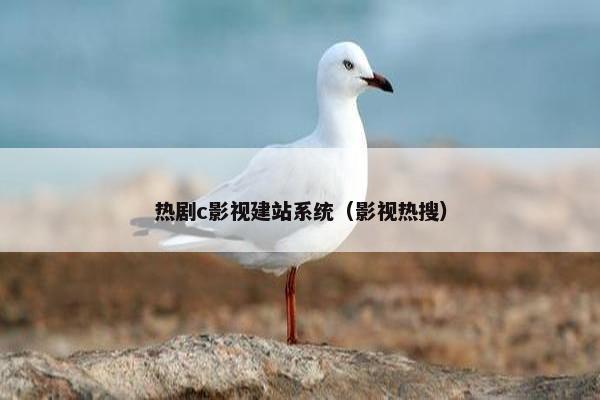 热剧c影视建站系统（影视热搜）