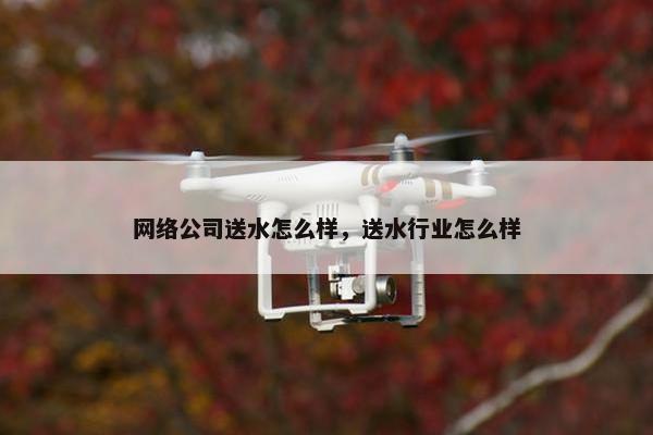 网络公司送水怎么样，送水行业怎么样