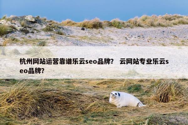 杭州网站运营靠谱乐云seo品牌？ 云网站专业乐云seo品牌？