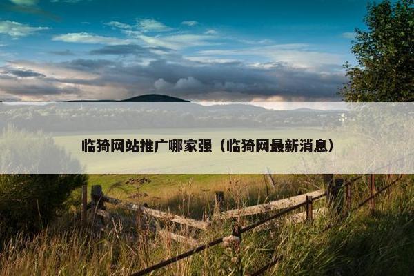 临猗网站推广哪家强（临猗网最新消息）
