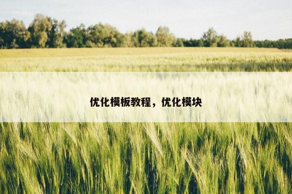 优化模板教程，优化模块