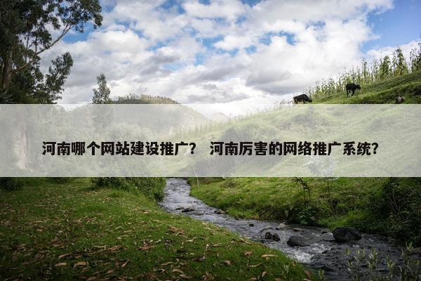 河南哪个网站建设推广？ 河南厉害的网络推广系统？