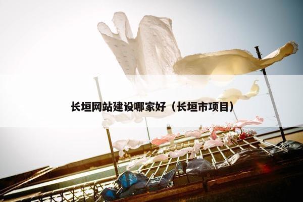 长垣网站建设哪家好（长垣市项目）