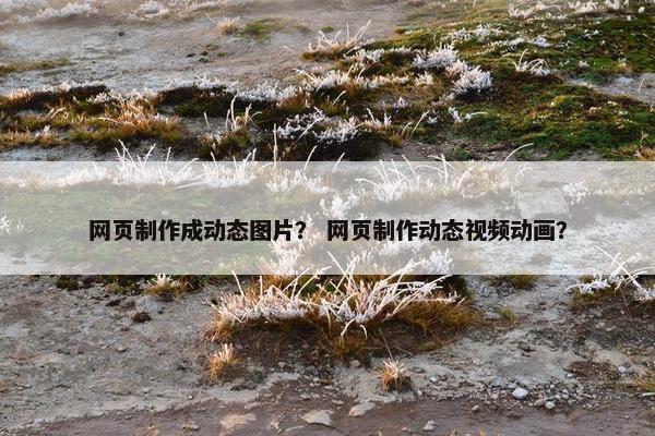 网页制作成动态图片？ 网页制作动态视频动画？