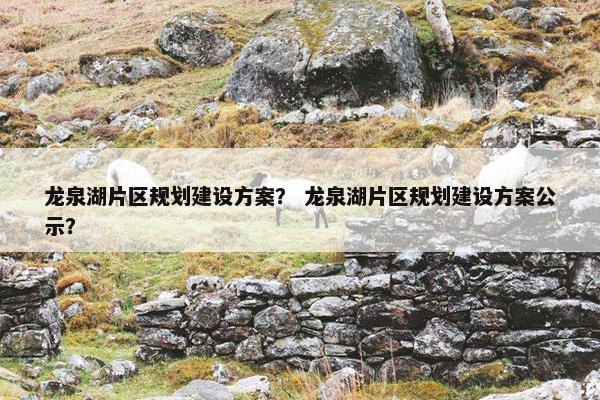 龙泉湖片区规划建设方案？ 龙泉湖片区规划建设方案公示？