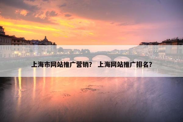 上海市网站推广营销？ 上海网站推广排名？