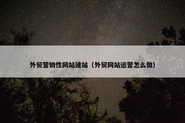 外贸营销性网站建站（外贸网站运营怎么做）