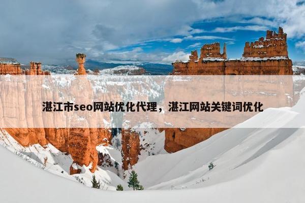 湛江市seo网站优化代理，湛江网站关键词优化