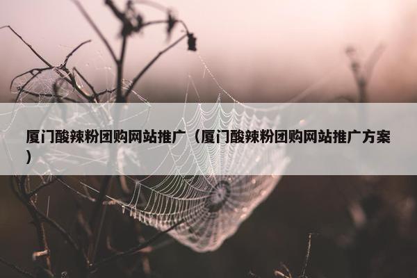 厦门酸辣粉团购网站推广（厦门酸辣粉团购网站推广方案）