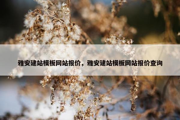 雅安建站模板网站报价，雅安建站模板网站报价查询