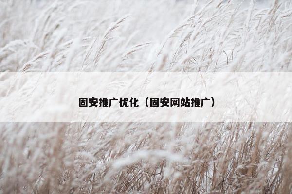 固安推广优化（固安网站推广）
