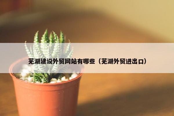 芜湖建设外贸网站有哪些（芜湖外贸进出口）