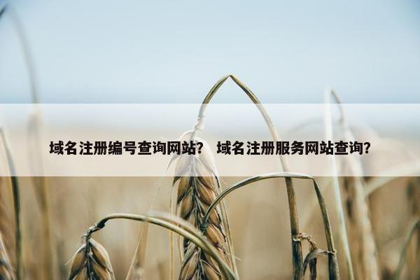 域名注册编号查询网站？ 域名注册服务网站查询？