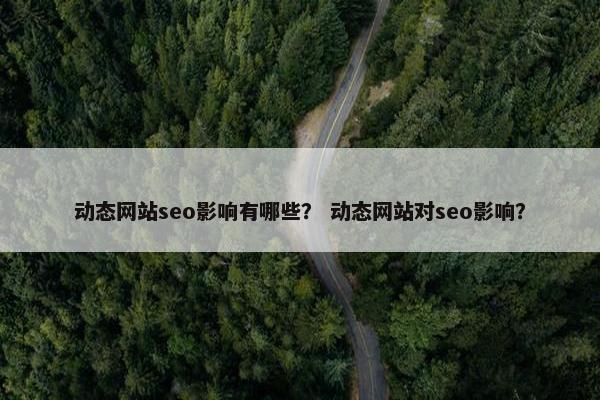 动态网站seo影响有哪些？ 动态网站对seo影响？