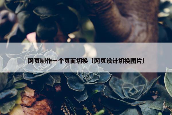 网页制作一个页面切换（网页设计切换图片）
