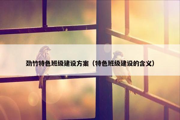 劲竹特色班级建设方案（特色班级建设的含义）