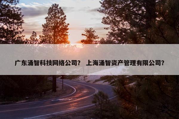 广东涌智科技网络公司？ 上海涌智资产管理有限公司？
