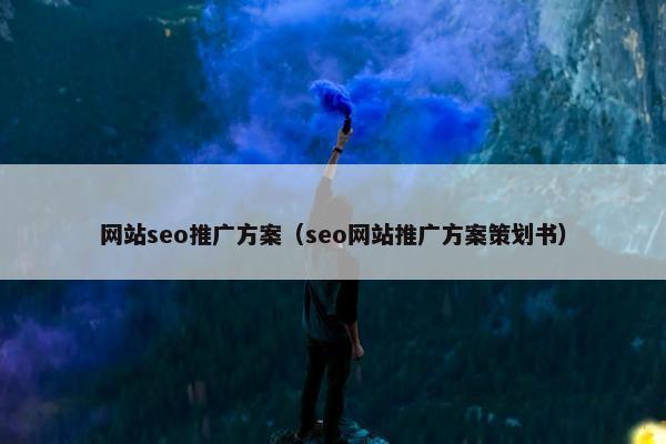 网站seo推广方案（seo网站推广方案策划书）