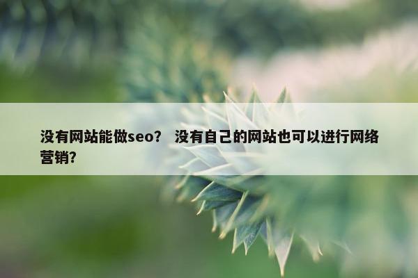 没有网站能做seo？ 没有自己的网站也可以进行网络营销？