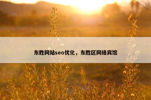 东胜网站seo优化，东胜区网络宾馆