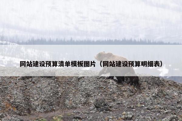 网站建设预算清单模板图片（网站建设预算明细表）