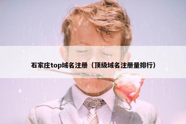 石家庄top域名注册（顶级域名注册量排行）