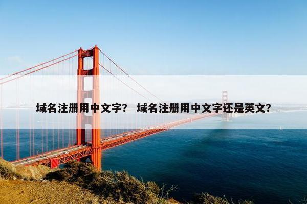 域名注册用中文字？ 域名注册用中文字还是英文？