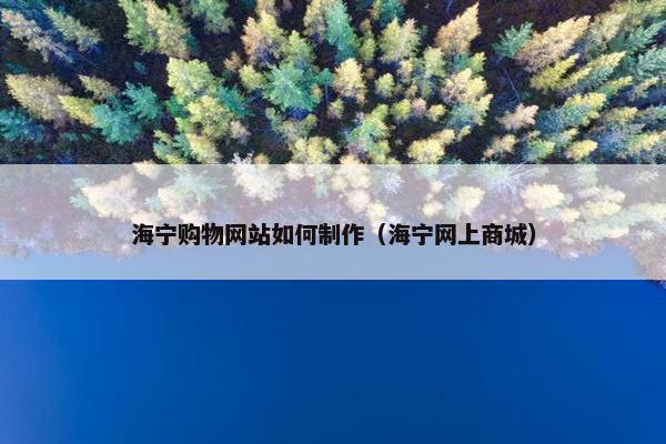 海宁购物网站如何制作（海宁网上商城）