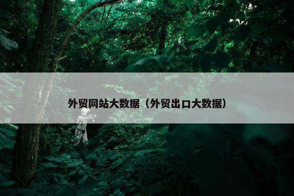 外贸网站大数据（外贸出口大数据）
