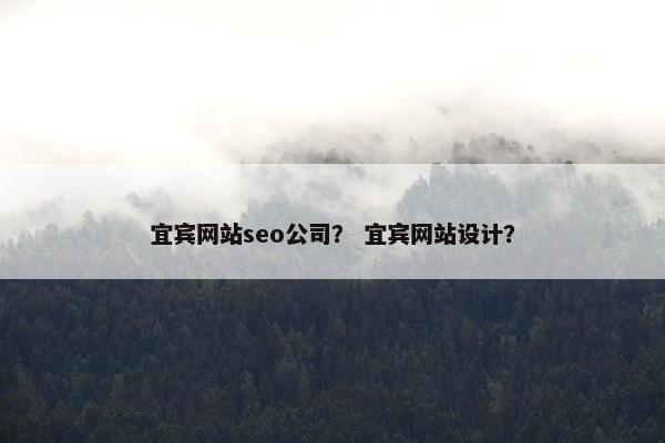 宜宾网站seo公司？ 宜宾网站设计？