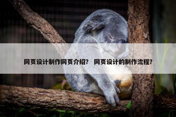 网页设计制作网页介绍？ 网页设计的制作流程？