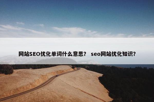 网站SEO优化单词什么意思？ seo网站优化知识？