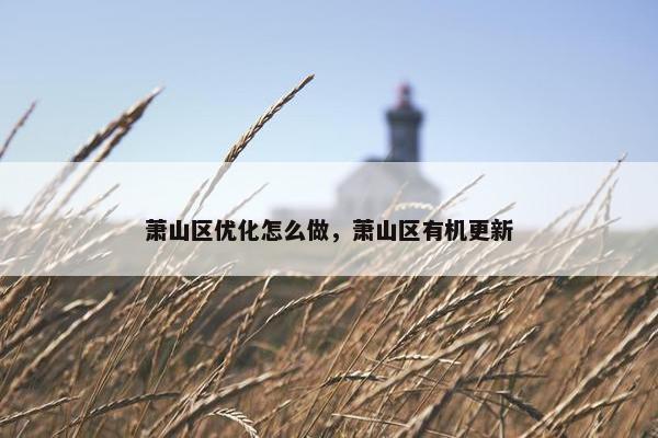 萧山区优化怎么做，萧山区有机更新