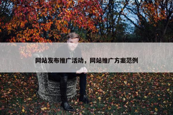 网站发布推广活动，网站推广方案范例