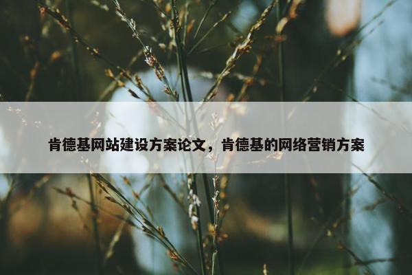 肯德基网站建设方案论文，肯德基的网络营销方案