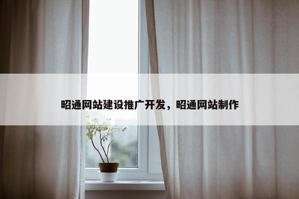 昭通网站建设推广开发，昭通网站制作