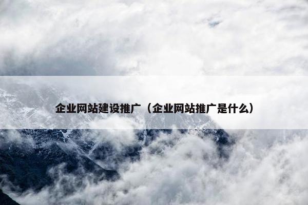企业网站建设推广（企业网站推广是什么）
