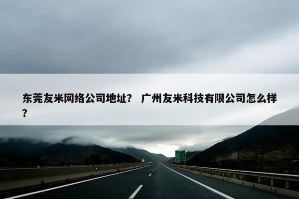东莞友米网络公司地址？ 广州友米科技有限公司怎么样？