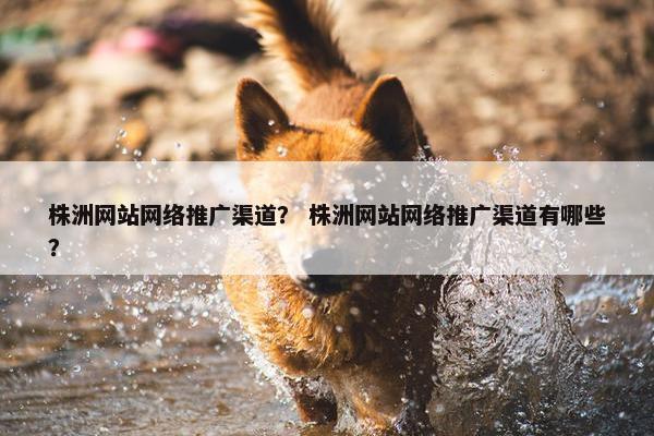 株洲网站网络推广渠道？ 株洲网站网络推广渠道有哪些？
